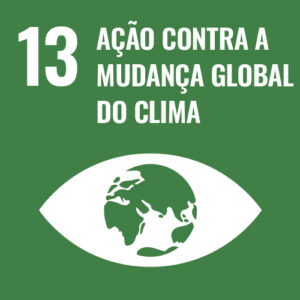 ODS 13 – Ação Climática