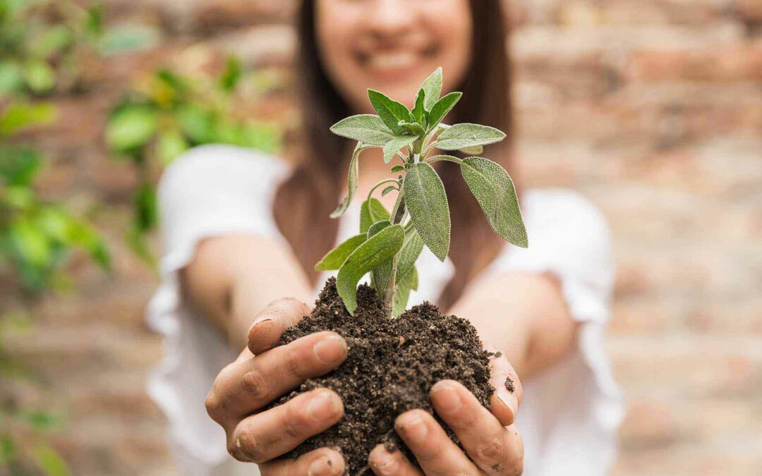 Como incorporar a Educação Ambiental à sala de aula