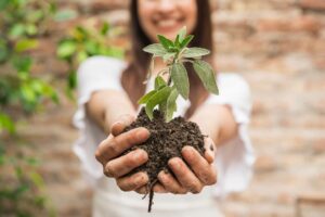 Como incorporar a Educação Ambiental à sala de aula