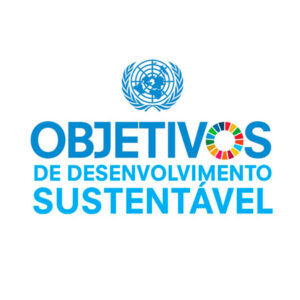Imagem do logo dos Objetivos de Desenvolvimento Sustentável